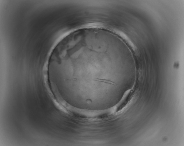 X0000103161421200808221343