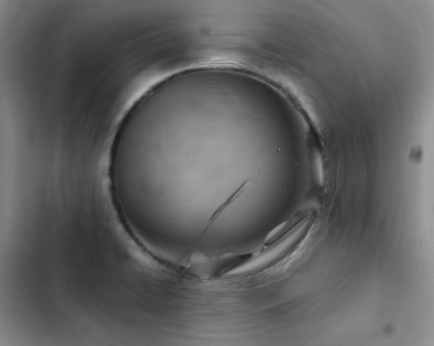 X0000103161422200808221343