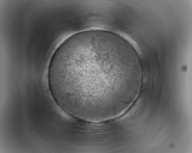 X0000103161423200808221343