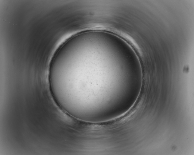 X0000103161424200808221343