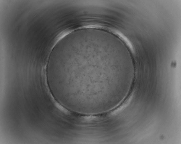X0000103161425200808221344