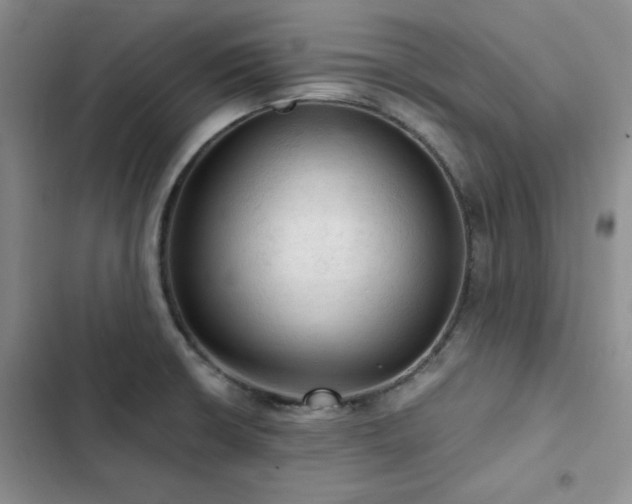 X0000103161426200808221344