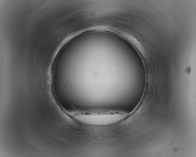X0000103161428200808221344