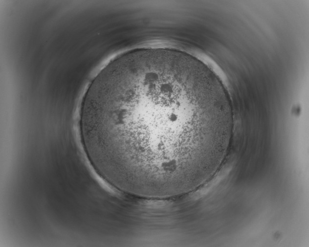 X0000103161429200808221344