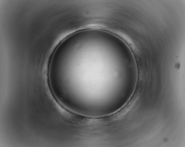 X0000103161430200808221344