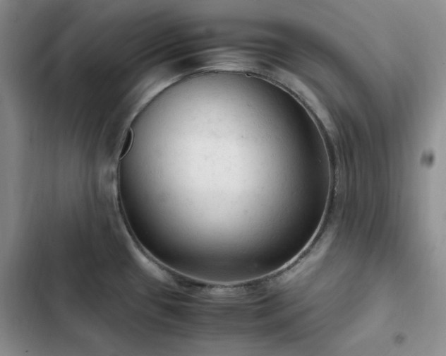 X0000103161433200808221344