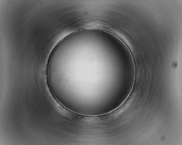 X0000103161434200808221344