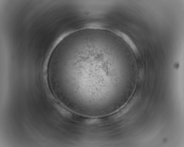 X0000103161435200808221344