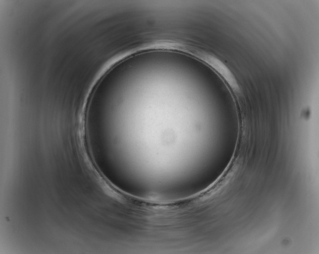 X0000103161436200808221344