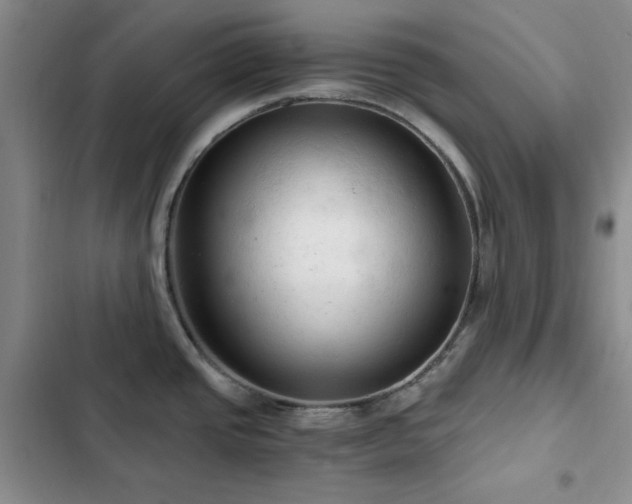 X0000103161437200808221344