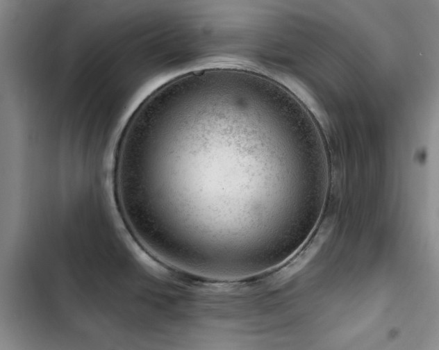 X0000103161438200808221344