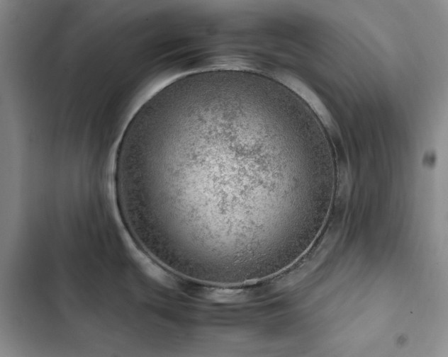 X0000103161439200808221344