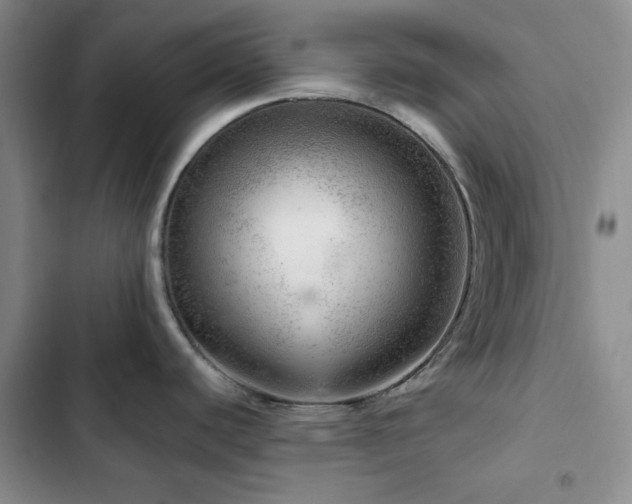 X0000103161440200808221344
