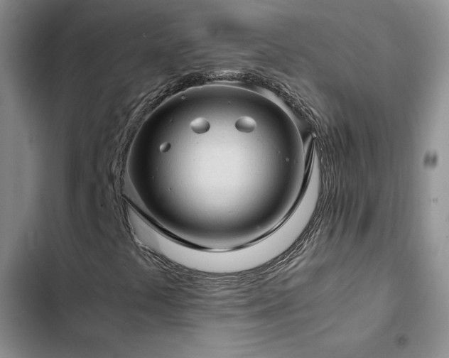 X0000103161441200808221343