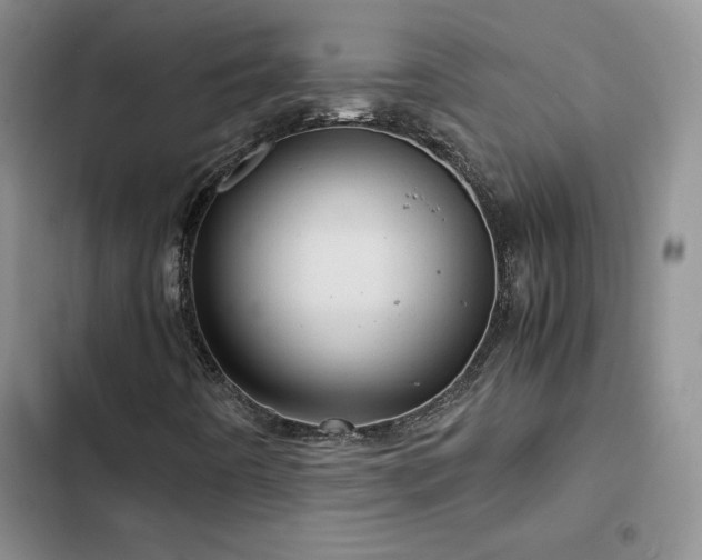 X0000103161442200808221343