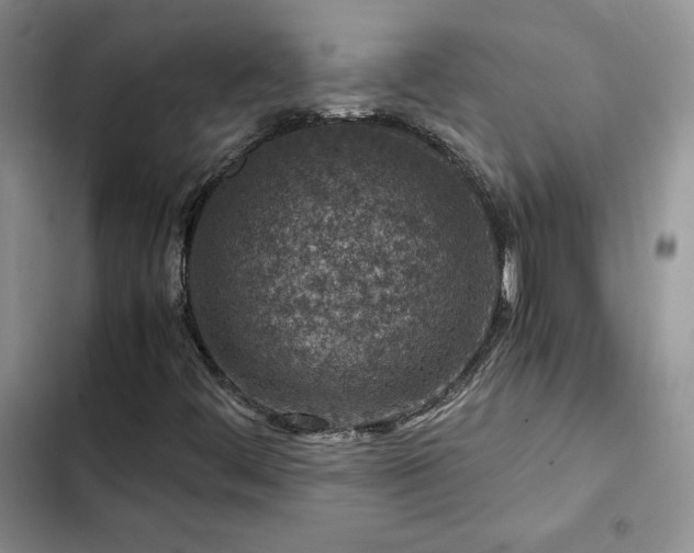 X0000103161444200808221343