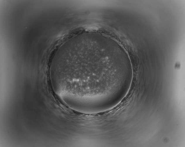 X0000103161445200808221343