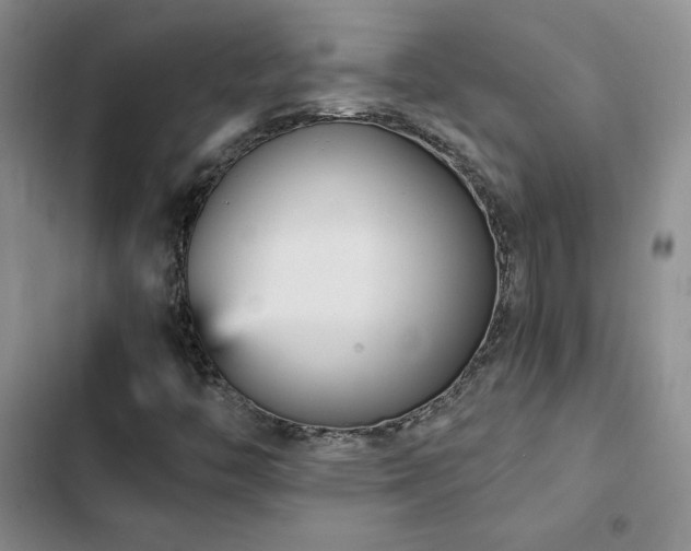 X0000103161446200808221343