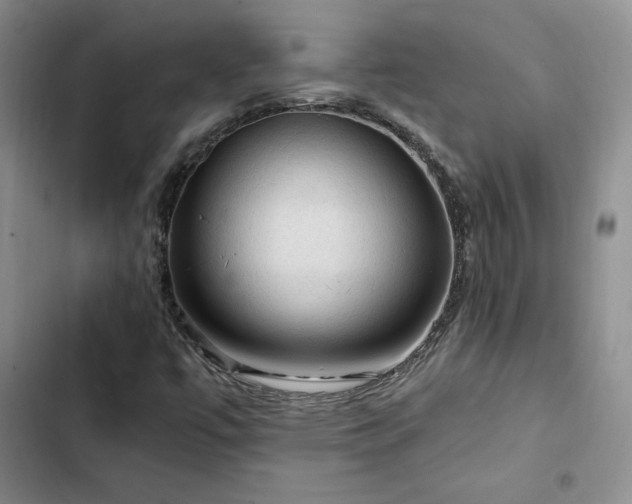 X0000103161447200808221343