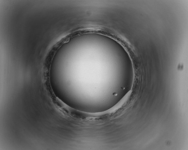 X0000103161448200808221343
