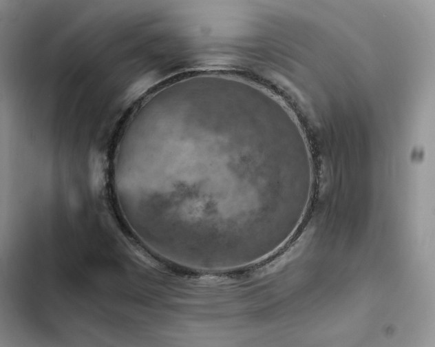 X0000103161449200808221343