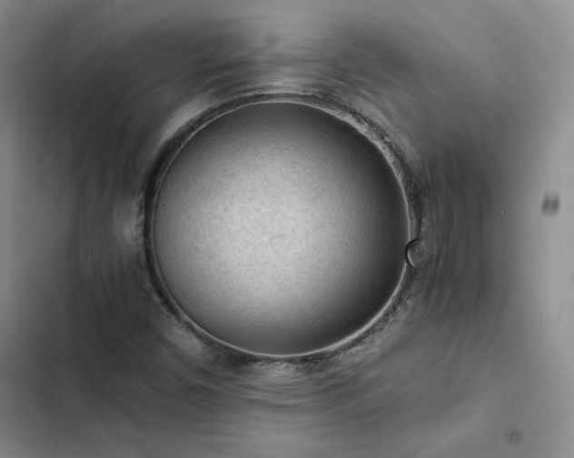 X0000103161450200808221343