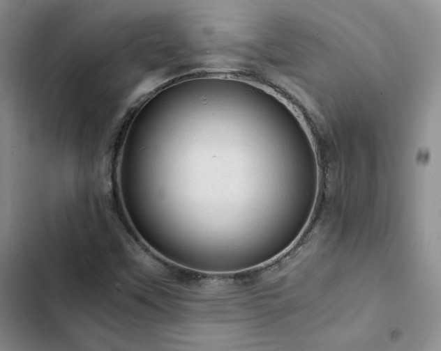 X0000103161451200808221343