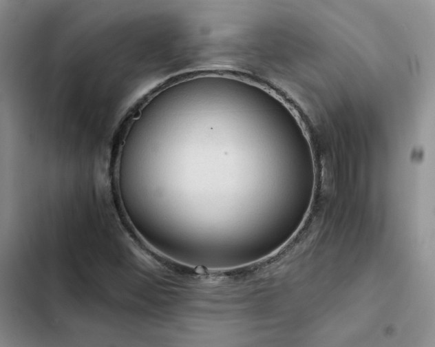 X0000103161452200808221343