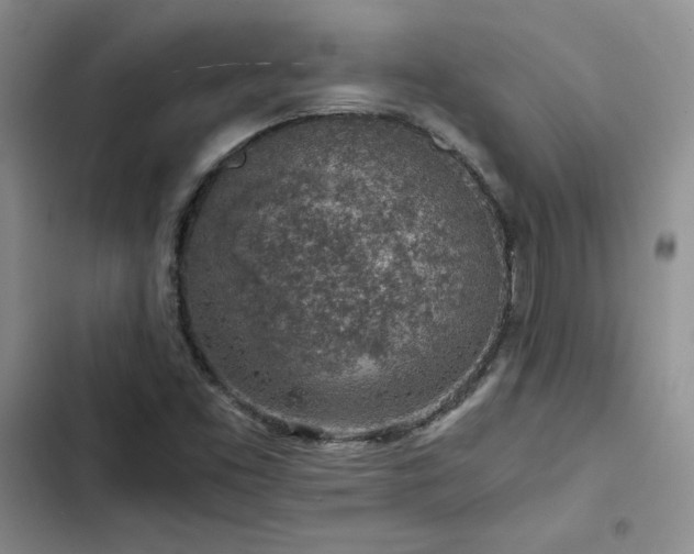 X0000103161453200808221343