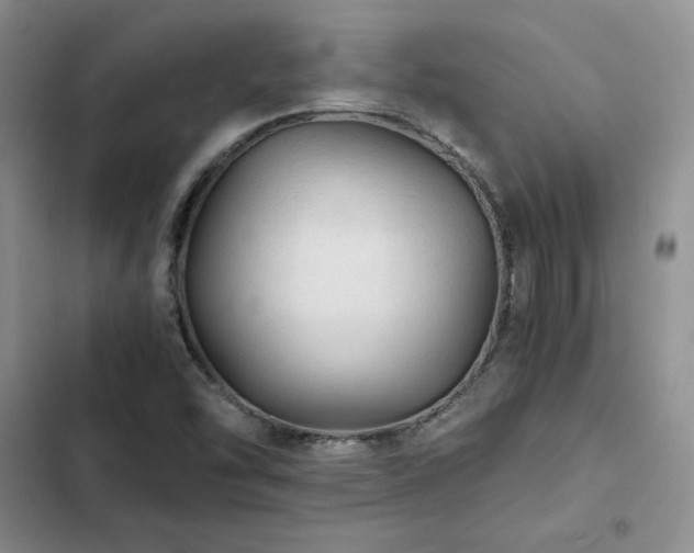 X0000103161454200808221343