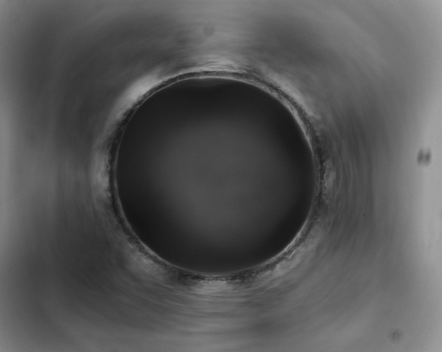 X0000103161455200808221343