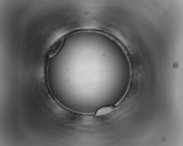 X0000103161456200808221343