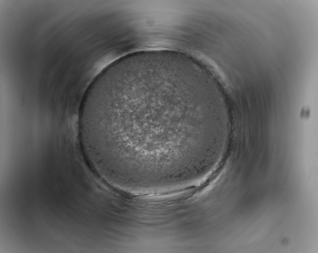 X0000103161457200808221343