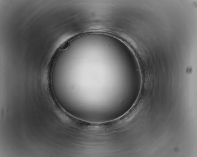 X0000103161458200808221343
