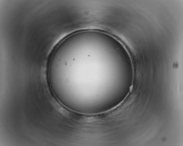 X0000103161460200808221343