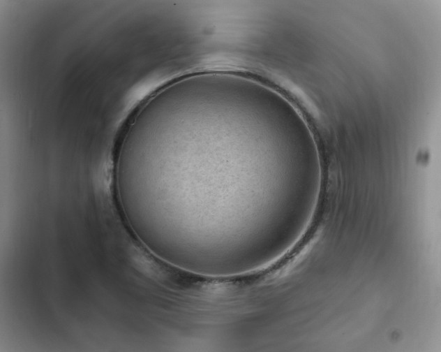 X0000103161461200808221343