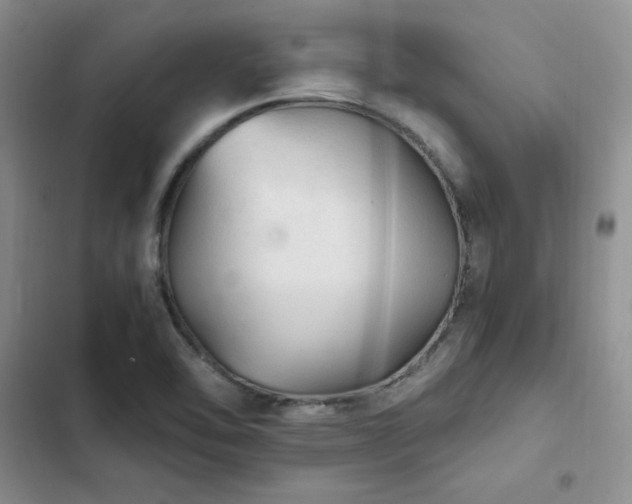 X0000103161462200808221343