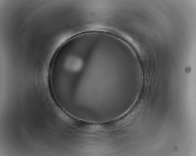 X0000103161463200808221343