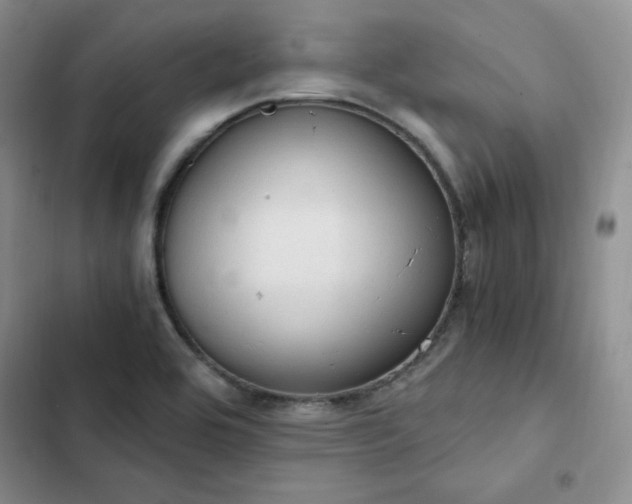 X0000103161464200808221343
