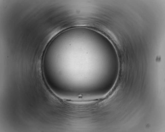 X0000103161465200808221343