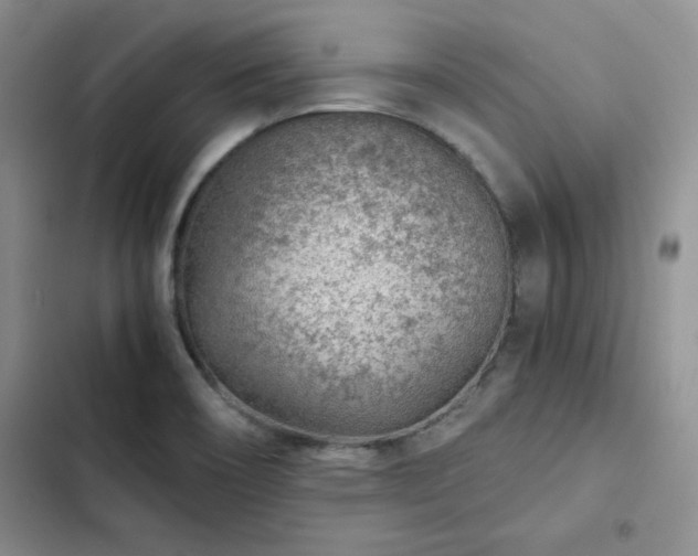 X0000103161466200808221343