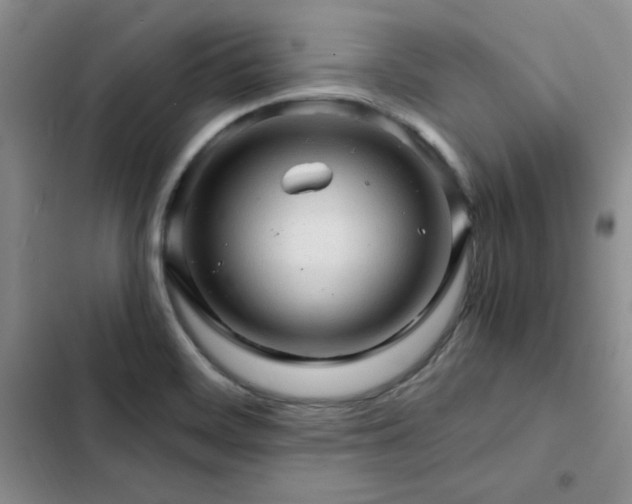 X0000103161468200808221343