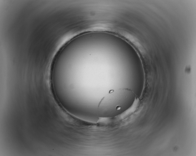 X0000103161469200808221343