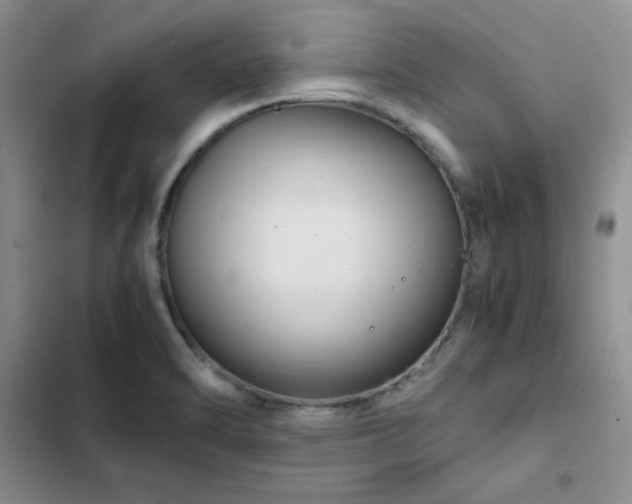 X0000103161470200808221343