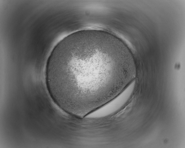 X0000103161471200808221343
