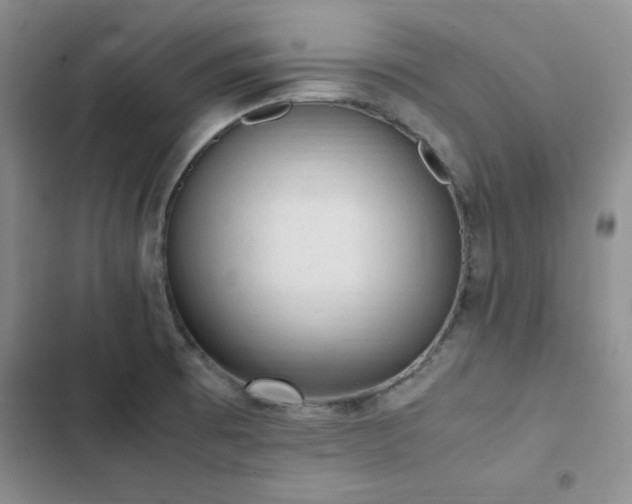 X0000103161473200808221343