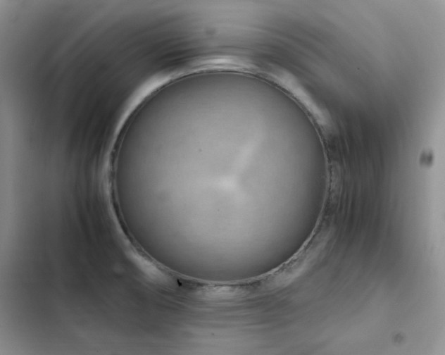 X0000103161474200808221343