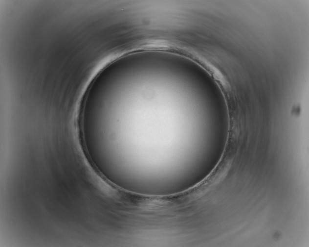X0000103161475200808221343