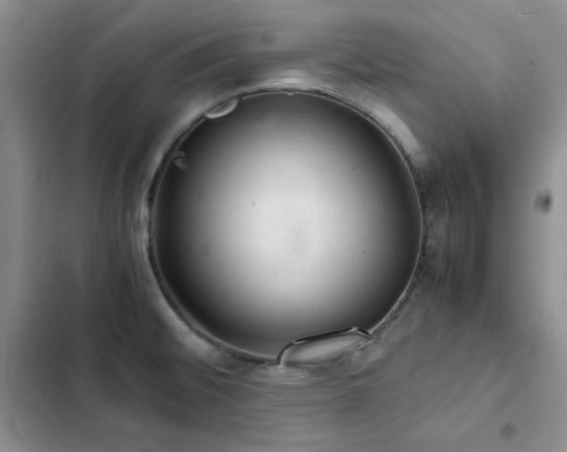 X0000103161476200808221343