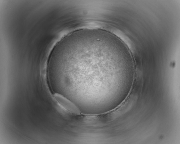 X0000103161477200808221343